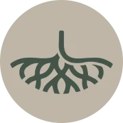 home-manglar-circulo